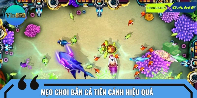 Chiến lược chinh phục săn tiên cá cánh hiệu quả