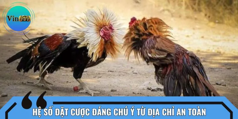 Hệ số đặt cược đáng chú ý từ địa chỉ an toàn