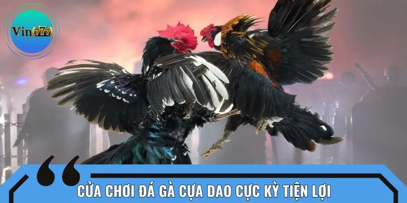 Cửa chơi đá gà cựa dao cực kỳ tiện lợi