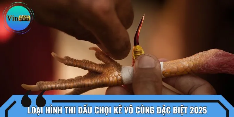 Loại hình thi đấu chọi kê vô cùng đặc biệt 2025