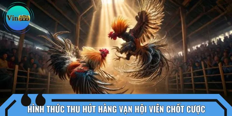Hình thức thu hút hàng vạn hội viên chốt cược