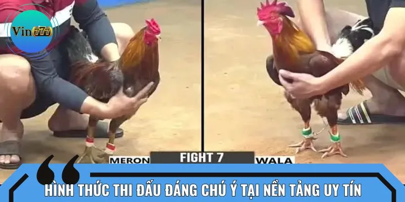 Hình thức thi đấu đáng chú ý tại nền tảng uy tín