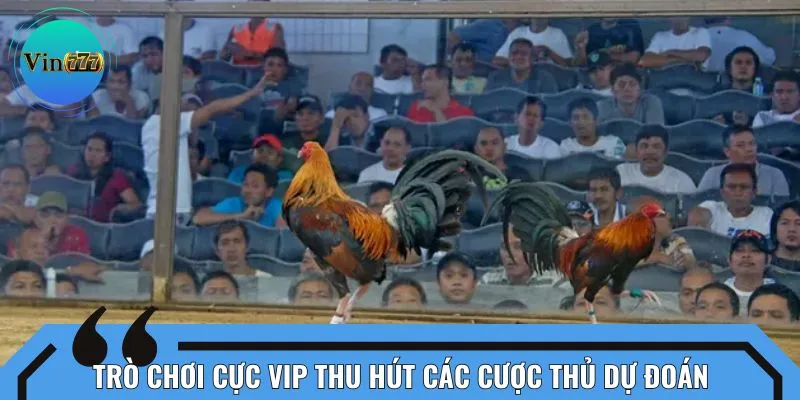 Trò chơi cực vip thu hút các cược thủ dự đoán