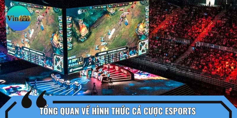 Giới thiệu sơ qua về cá cược Esports