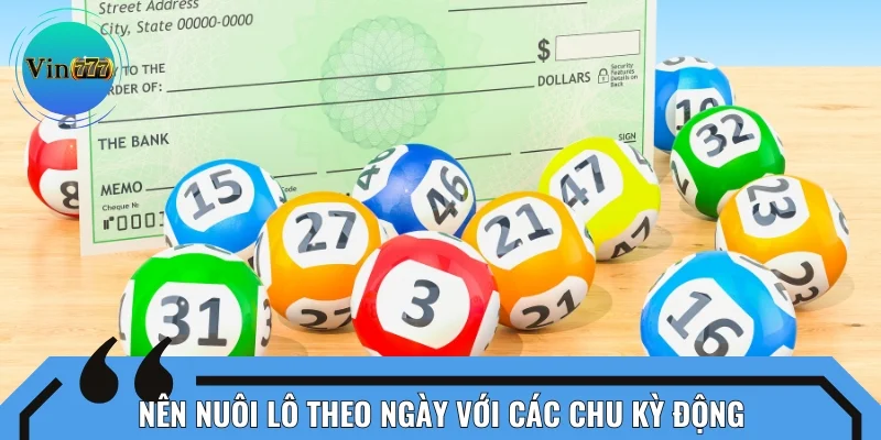 Nên nuôi lô theo ngày với các chu kỳ động