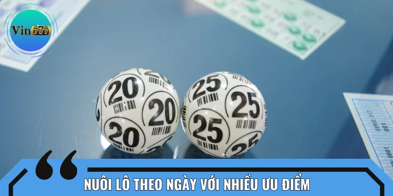 Lựa chọn nuôi lô theo ngày với nhiều ưu điểm