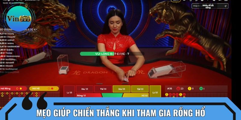 Kinh nghiệm chinh phục Rồng Hổ một cách hiệu quả