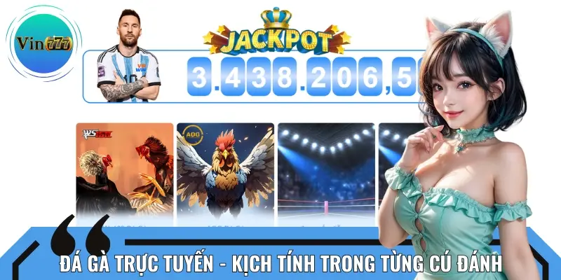 Người chơi tại đây sẽ được theo dõi các trận đấu với từng cú mổ gay cấn